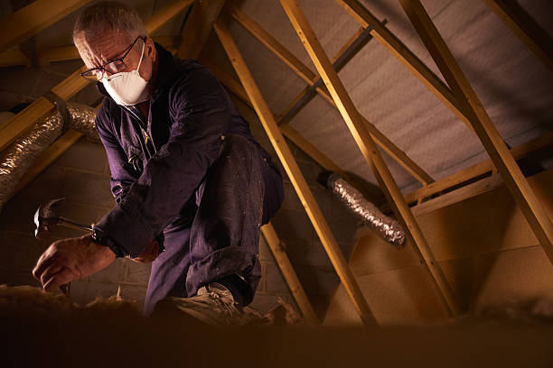 Best Eco-Friendly Insulation in Gautier, MS